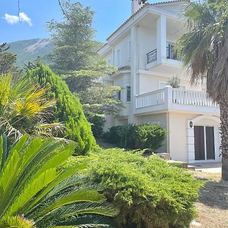 Sul Mare Apartment *
