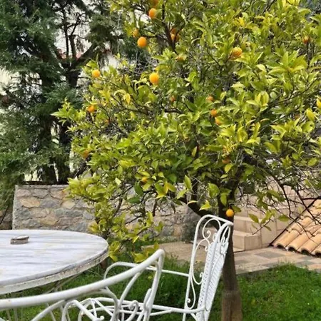 Apartment Sul Mare Chalkida