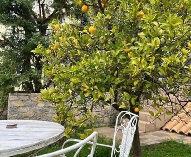 Appartement Sul Mare Chalkís